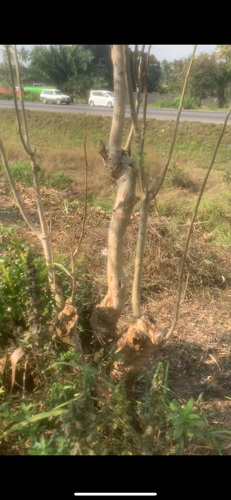 Plot facing Road Kibaha