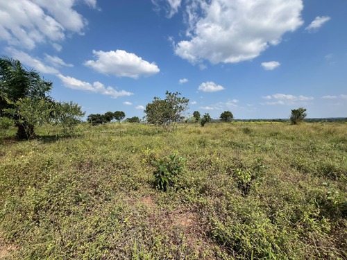 SHAMBA EKA 140, MKURANGA 