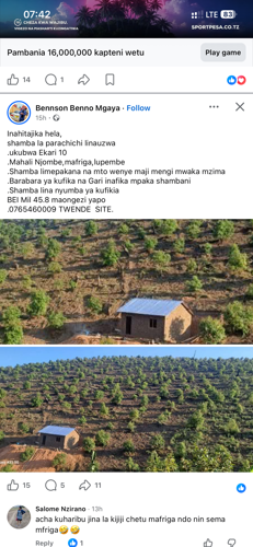 Avacado farm for sale