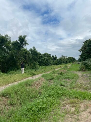 8.5 acres Kurasini for sale