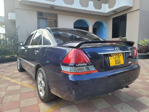 Grand mark 11 ipo mwanza