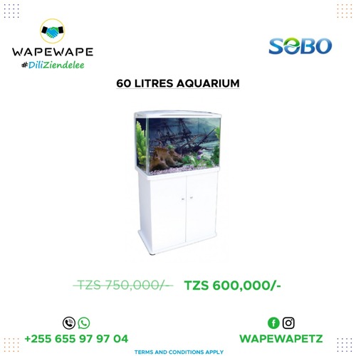 60 Ltr Aquarium