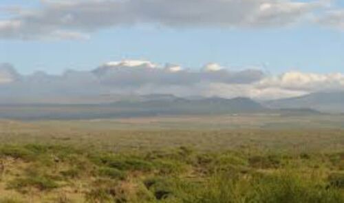 FARM FOR SALE WEST KILIMANJARO