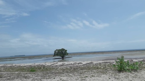 Beachplot Gezaulole Kigamboni