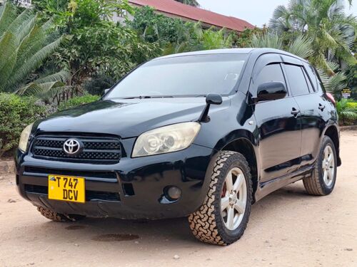 RAV4 MISS TZ