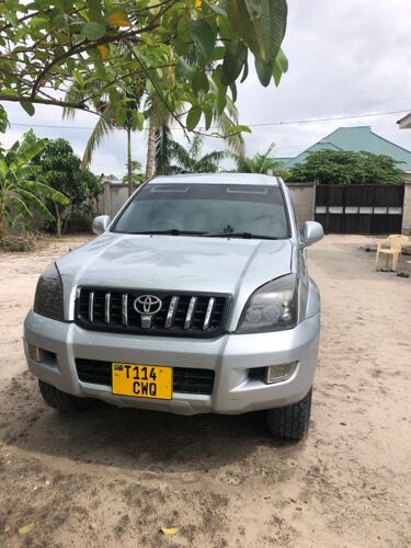 prado diamond 120