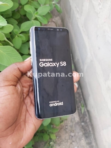 Samsung S8