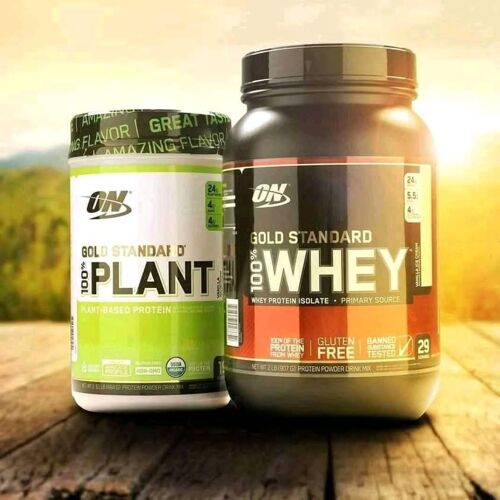 Vegan Protein Supplements 