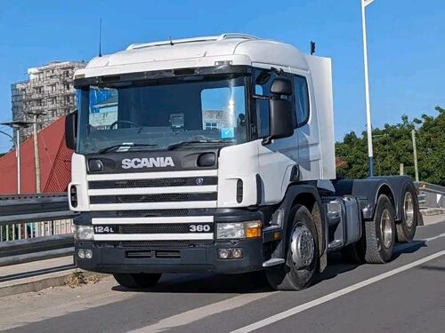 SCANIA HORSE BEI ML79 IPO