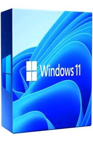 Windows 11 pro