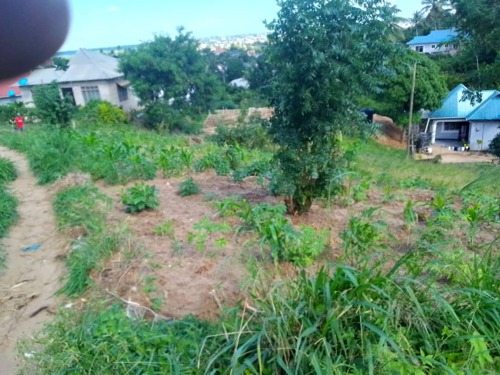 Plot - Goba Njia Nne