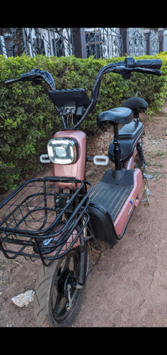 Electric bike