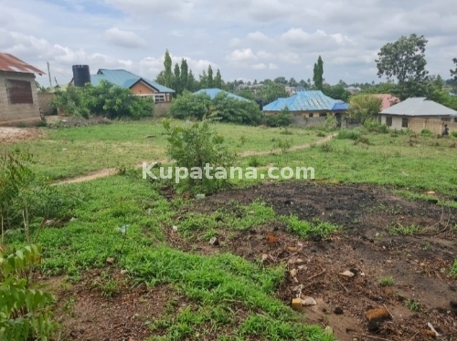 Kiwanj Kinyerez Kwa Ditopile Mil 45 Sqm 1000