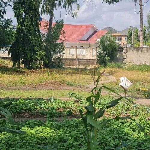 PLOT FOR SALE AT TEGETA