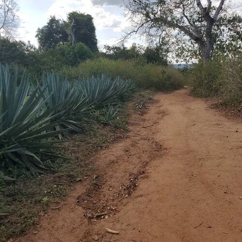 Eka 585 linauzwa lote pozo 