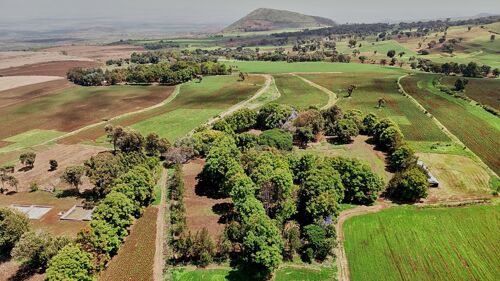 2,000 ACRE FARM,KILIMANJARO