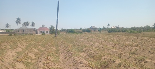 Kiwanja Gezaulole kigamboni 
