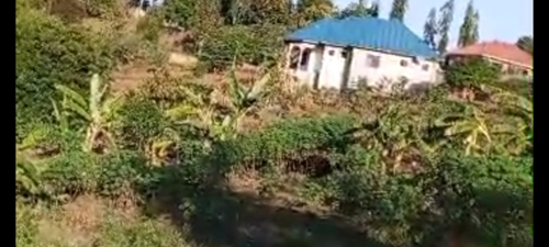 KIWANJA SQM.1,800 LUGURUNI 