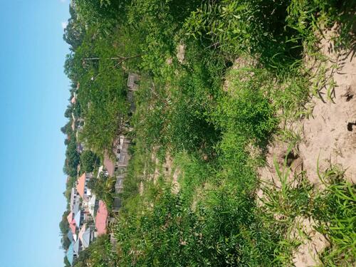 Plot for sale