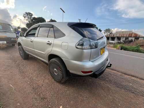 harrier, Njombe 