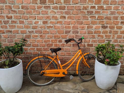 Orange Dutch bicycle for Sale 