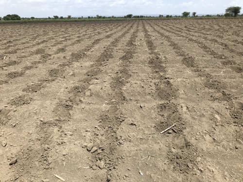 20 acres land for sale