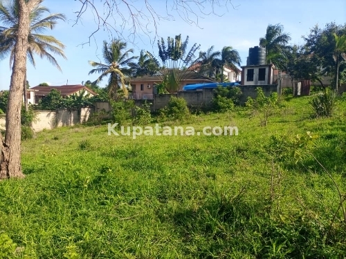 Kiwanja Kinauzw Tabata Kinyerezi Kwa Ditopile