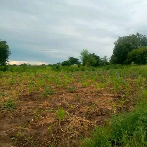 Land for sale at makunganga morogoro