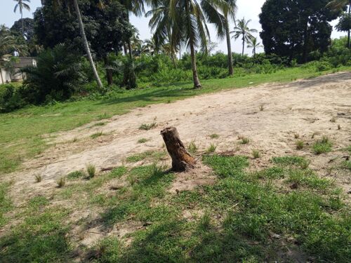 NAUZA KIWANJA GOBA NJIA 4