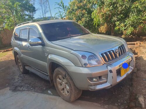 Prado 120 geita