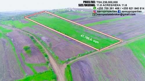 11.8 ACRES OF LAND FOR SALE 5KM NORTH OF KISONGO.