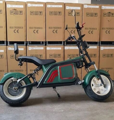 Eletric scooter 