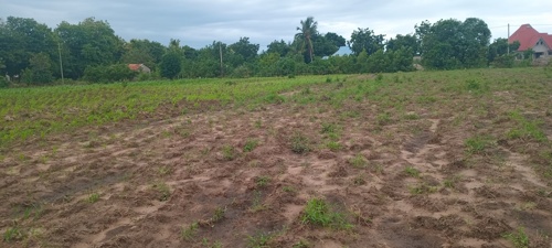 Kiwanja Gezaulole kigamboni 