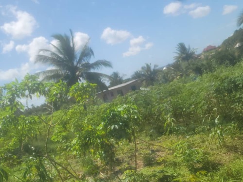 Uwanja unauzwa. Kisemvule