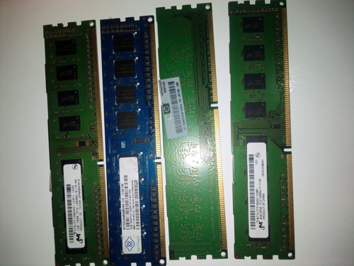 Ram