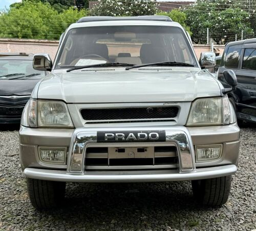 Prado mchana 1kz