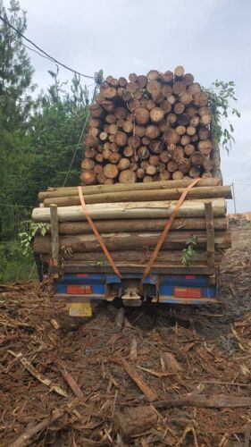 SCANIA 123 DOUBLE DEEEF 