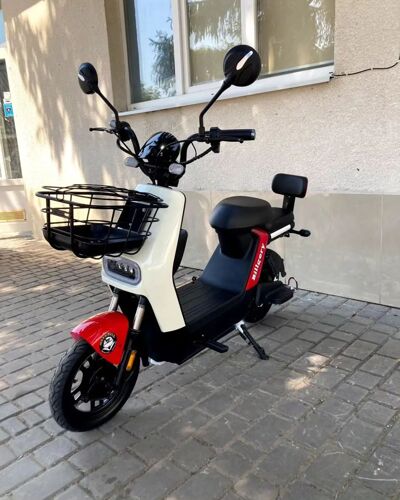 BillGery Electric Scooter 