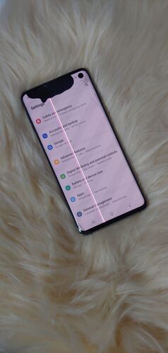 Samsung S10 