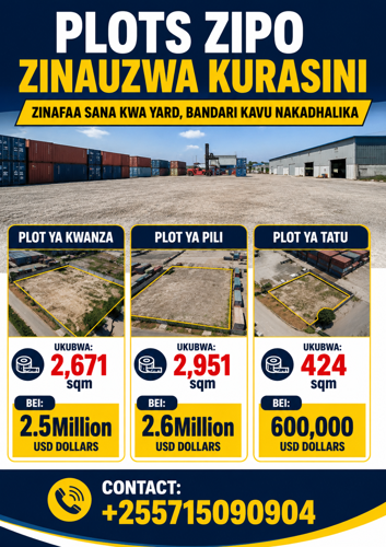 PLOTS ZINAUZWA KURASINI