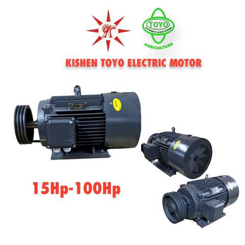 electric motor