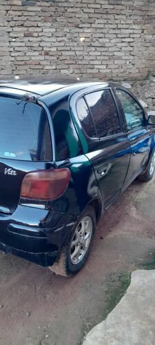 vitz