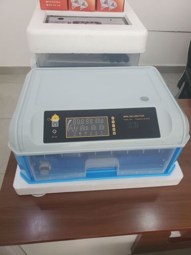 Plastic incubator 42