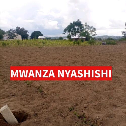 Mwanza Nyashishi