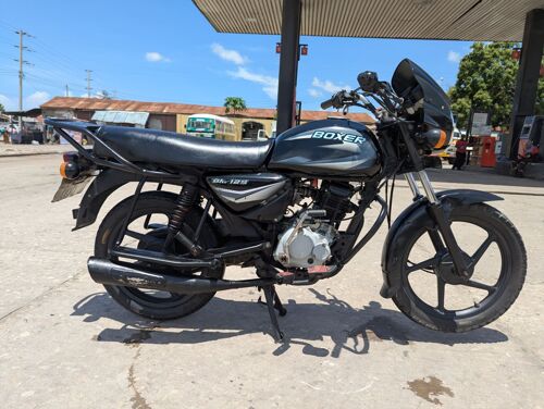 Boxer bm125