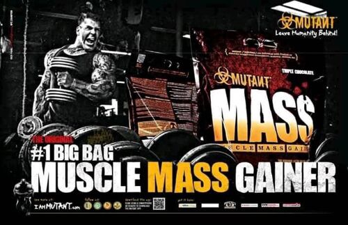 Big Muscle Mass Gainer 