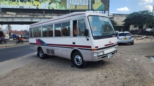 Rosa bus 4d34