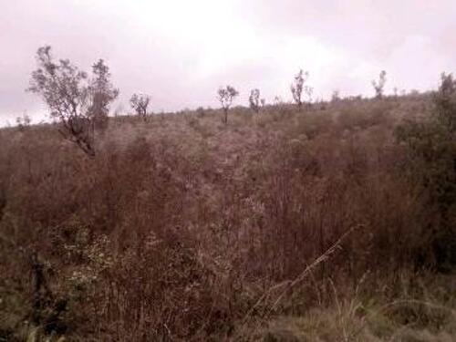 Land for sale/ Mashamba yanauzwa