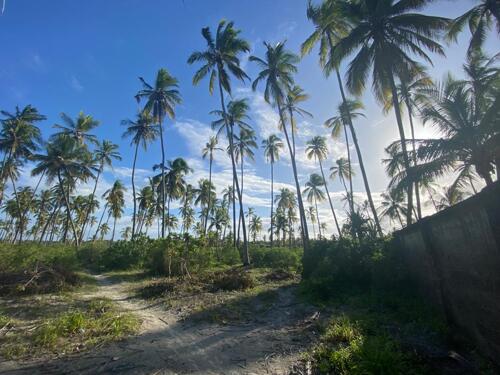 Pwani Mchangani-Beach plot for Sale in Zanzibar