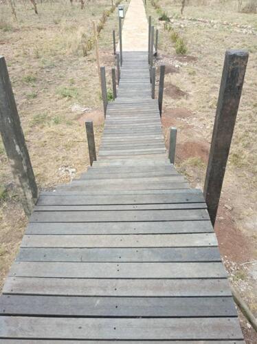 Walking Way